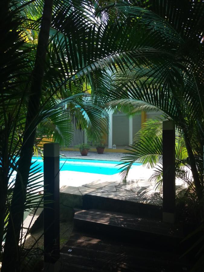 Chambre D'Hote Et Loft Dans Maison De Charme Piscine A Debordement La Villa Gialla Schoelcher Buitenkant foto