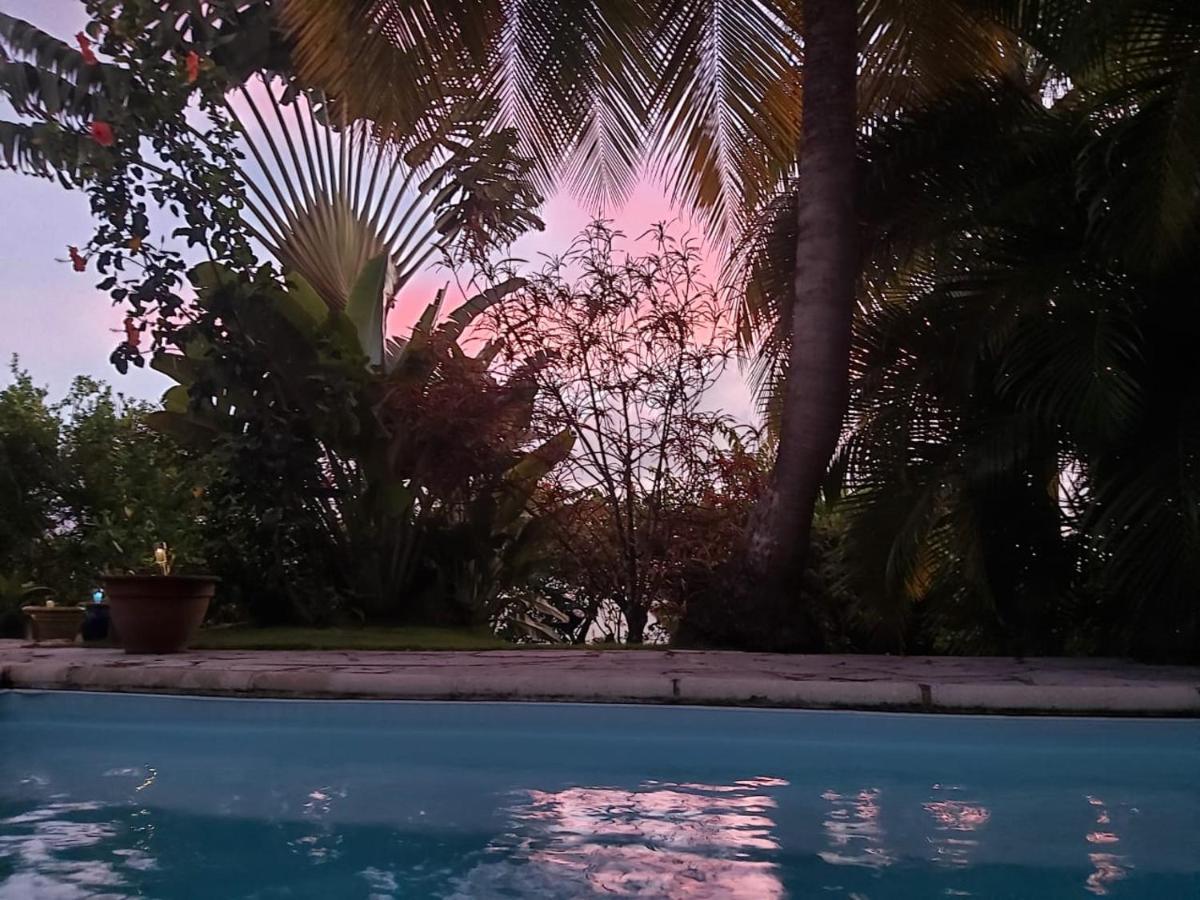 Chambre D'Hote Et Loft Dans Maison De Charme Piscine A Debordement La Villa Gialla Schoelcher Buitenkant foto