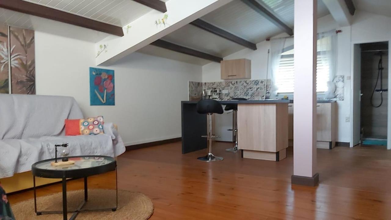 Chambre D'Hote Et Loft Dans Maison De Charme Piscine A Debordement La Villa Gialla Schoelcher Buitenkant foto